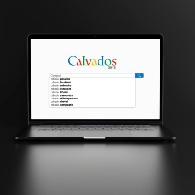 CONSEIL DEPARTEMENTAL DU CALVADOS conception campagne & déclinaisons (édition & digital)