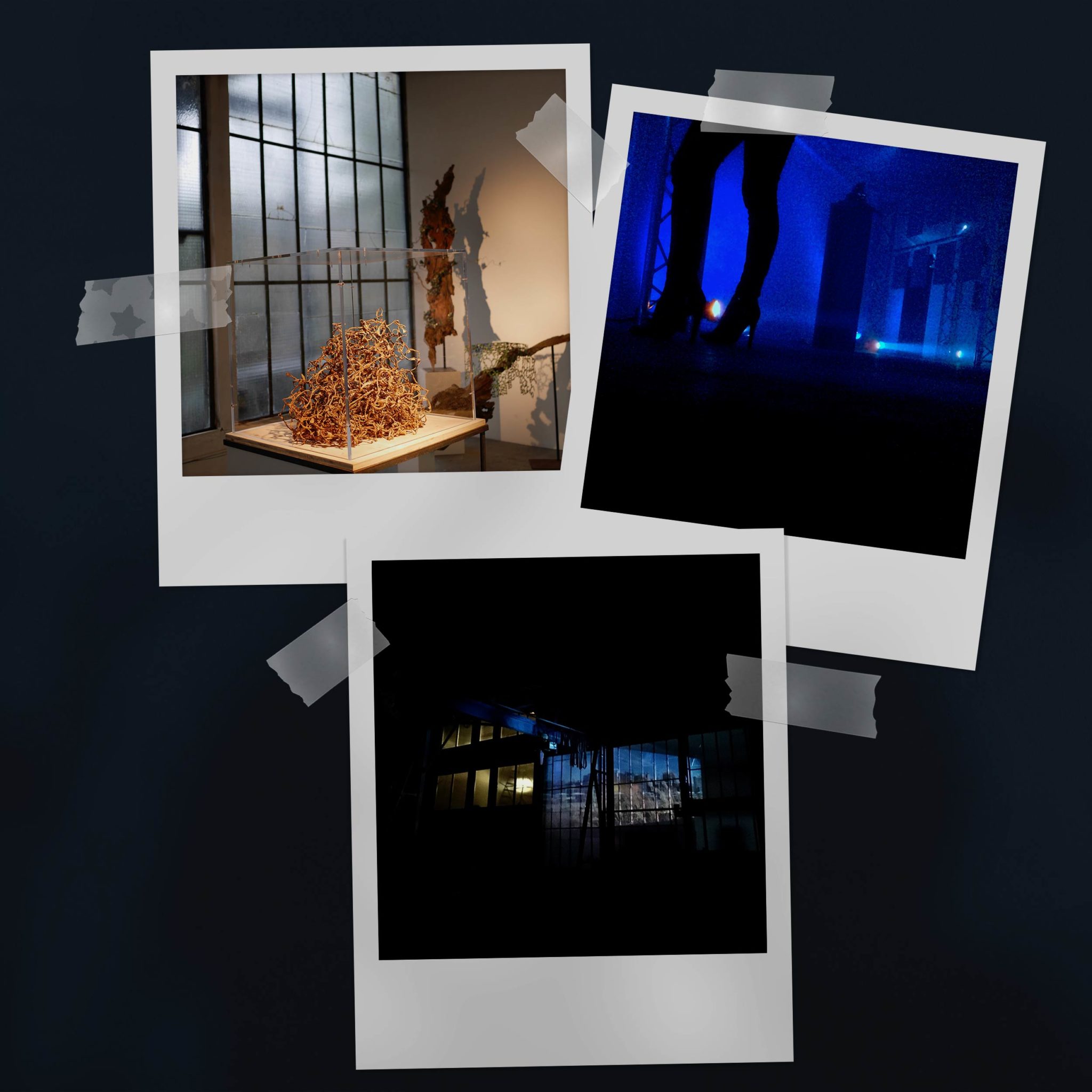 102 ter : production expositions (4 par an)